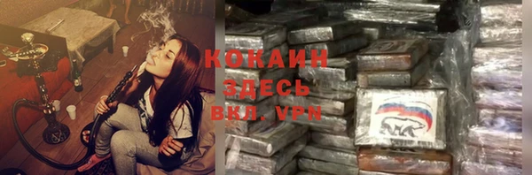 индика Краснотурьинск