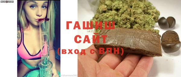 индика Краснотурьинск