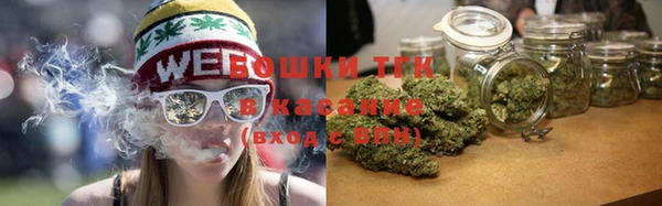 индика Краснотурьинск