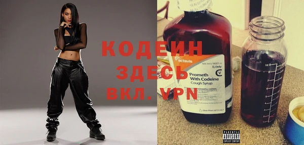 индика Краснотурьинск