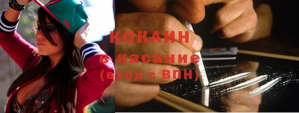 индика Краснотурьинск