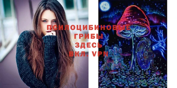 индика Краснотурьинск