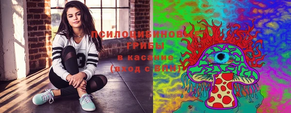 индика Краснотурьинск