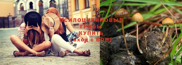 индика Краснотурьинск