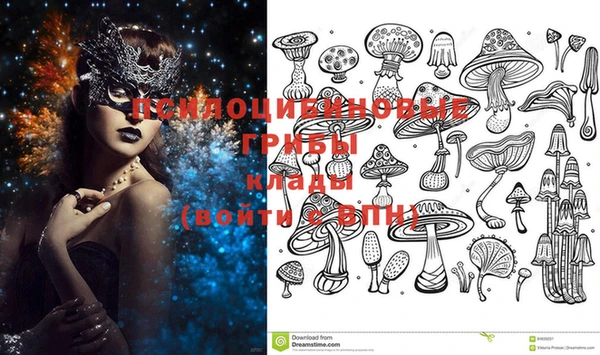 индика Краснотурьинск