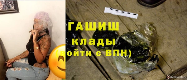 индика Краснотурьинск