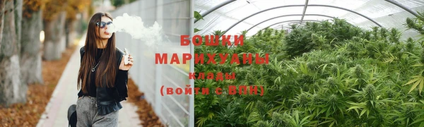ГАЛЛЮЦИНОГЕННЫЕ ГРИБЫ Коряжма