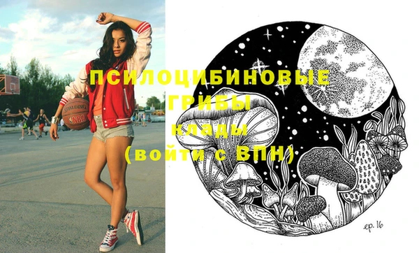 индика Краснотурьинск
