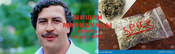 индика Краснотурьинск