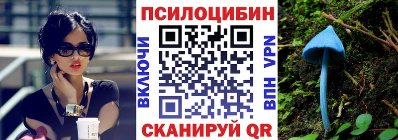 Псилоцибиновые грибы прущие грибы  наркота  Людиново 