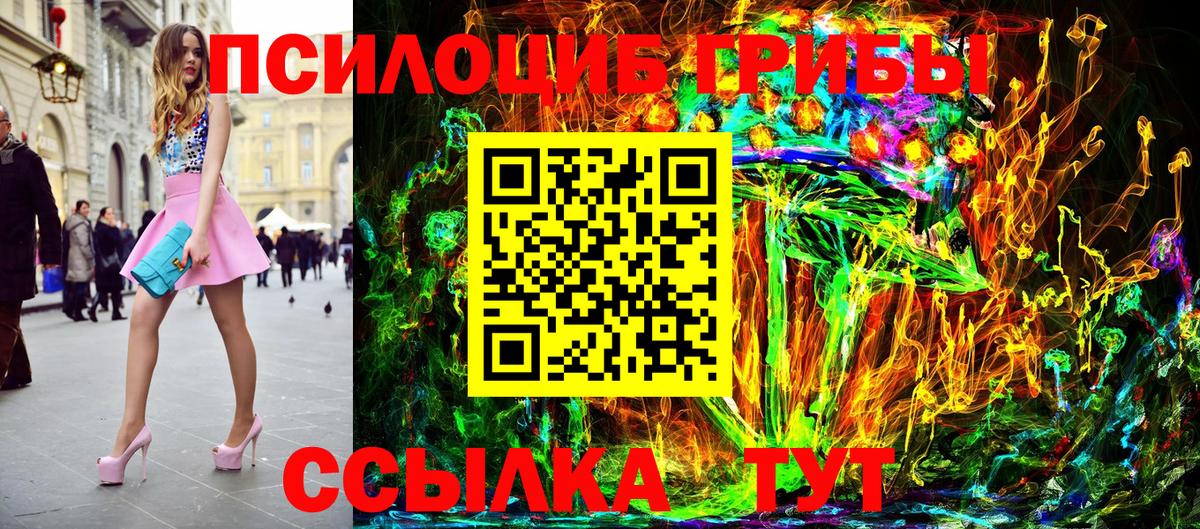 Галлюциногенные грибы Psilocybe Людиново
