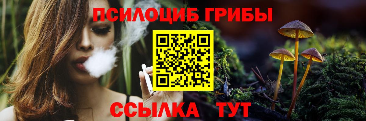 Людиново  Псилоцибиновые грибы Magic Shrooms  Вход с VPN 